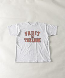 Nylaus/FRUIT OF THE LOOM UNISEX カレッジロゴプリント ショートスリーブTシャツ/505370550