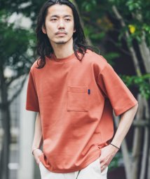 URBAN RESEARCH Sonny Label/ポンチポケットクルーネックTシャツ/505371879