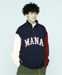 MANASTASH/MANASTASH/マナスタッシュ/CASCADE HALF ZIP/カスケードハーフジップ/505371551