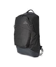 GREGORY/グレゴリー バッグ リュック デイパック バックパック メンズ レディース ブランド 通勤 通学 軽量 20L GREGORY AL 20/505378014