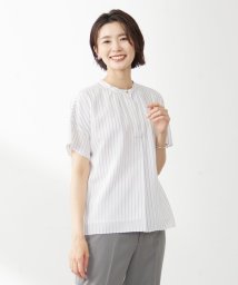 J.PRESS LADIES(J．プレス　レディス)/シアーストライプチェック フレンチスリーブ バンドカラー カットソー/ホワイト系1