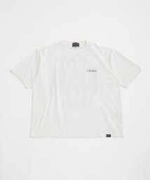 nano・universe(ナノ・ユニバース)/PENDLETON/別注 グラフィックTシャツ 半袖/オフホワイト1