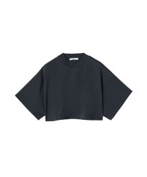 ETRE’TOKYO(エトレトウキョウ)/クロップドモックネックTee/NAVY