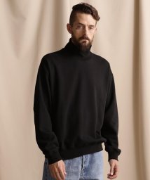 Schott/WEB LIMITED/BLANK HIGHNECK SWEAT/ブランク ハイネック スウェット/505401612