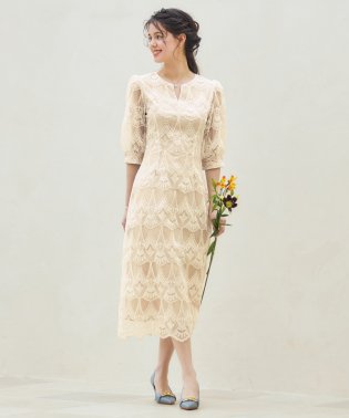 DRESS+/ドレス ワンピース タイト レース スカラップ 結婚式/505403488