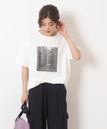 SHOO・LA・RUE(シューラルー)/【プチプラ／接触冷感】大人世代に支持されている ”旬” Tシャツ/ホワイト（502）