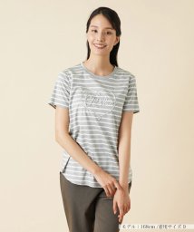 Leilian/ボーダーＴシャツ/505341314