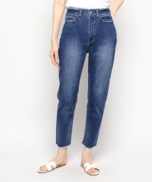 Healthy denim/H. Salt Highrise/505387590