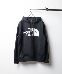 ar/mg(エーアールエムジー)/【W】【it】【NF0A7UNLWTQ， NF0A7UNLKY4， NF】【THE NORTH FACE】HALF DOME PULLOVER HOODIE－ハ/ブラック