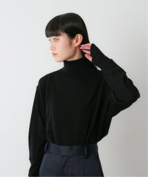 JOURNAL STANDARD(ジャーナルスタンダード)/【FOLL / フォル】washable wool turtleneck sweater/ブラック