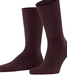 NOLLEY’S goodman(ノーリーズグッドマン)/【FALKE/ファルケ】14497 NELSON SOCKS/ワイン