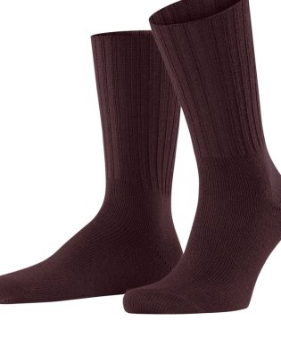 NOLLEY’S goodman/【FALKE/ファルケ】14497 NELSON SOCKS/505412503