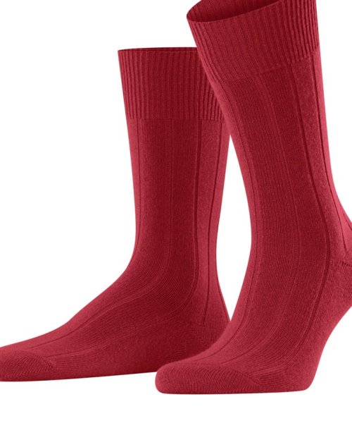 NOLLEY’S goodman(ノーリーズグッドマン)/【FALKE/ファルケ】14423 LHASA RIB SOCKS/レッド