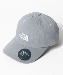 THE NORTH FACE(ザノースフェイス)/【THE NORTH FACE/ザ・ノースフェイス】NORM HAT ノームハット ロゴ キャップ NF0A3SH3/ライトグレー
