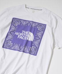THE NORTH FACE/【THE NORTH FACE / ザ・ノースフェイス】 BANDANA TEE / Tシャツ 半袖 ユニセックス NT7UN2/505403312