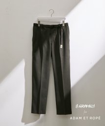 ADAM ET ROPE'(アダム　エ　ロペ)/《別注》【GRAMICCI / グラミチ】FLANNEL STRETCH SLIM SLACKS/オリーブ（37）