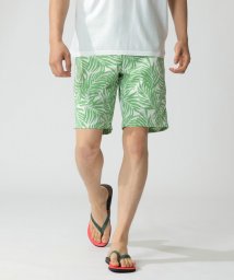 ECOALF MEN(ECOALF MEN)/BALI ショーツ / BALI SWIMSUIT MAN/グリーン