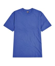 sonotanocharacter(その他のキャラクター)/メンズ 無地 Tシャツ 半袖 5.6 oz オンスウェイト ACE プリント オリジナル Tシャツ 学園祭  イベント メンズ レディース/ブルー