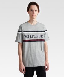 TOMMY HILFIGER(トミーヒルフィガー)/グローバルストライプモノタイプTシャツ/グレー