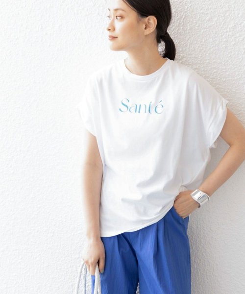 SHIPS WOMEN(シップス　ウィメン)/ローズ ぺトール ロゴ プリント TEE 2◇/オフホワイト