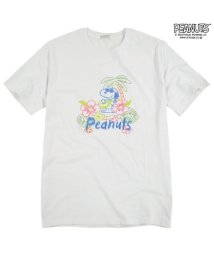  PEANUTS( ピーナッツ)/スヌーピー Tシャツ 刺繍 半袖 線画 夏 サーフィン 南国 PEANUTS SNOOPY/オフホワイト