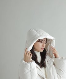 NATURAL BEAUTY BASIC/ショートフードダウン23AW/505430144