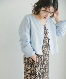 ITEMS URBANRESEARCH(アイテムズ アーバンリサーチ（レディース）)/クロップドロングスリーブシャツ/L.BLU