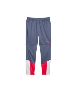 PUMA/メンズ  サッカー INDIVIDUALCUP トレーニング パンツ/505436773