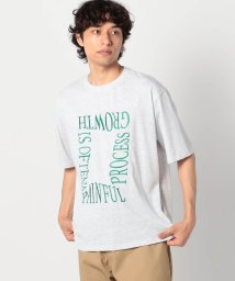 Grand PARK(グランドパーク)/ロゴ刺繍Tシャツ/19ライトグレー
