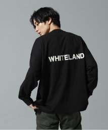 LHP/WHITELAND/ホワイトランド/LOGO LST/ロゴロングスリーブT/505453701