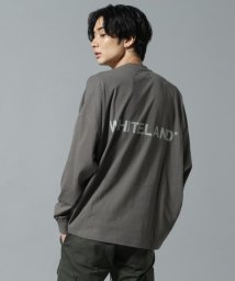 LHP(エルエイチピー)/WHITELAND/ホワイトランド/LOGO LST/ロゴロングスリーブT/グレー