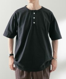 ITEMS URBANRESEARCH/Healthknit　MADE IN USA Henley－Neck T－shirts/505455036