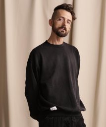 Schott/WEB LIMITED/BLANK FADE SWEAT/ブランクフェード スウェット/505457606