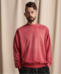 Schott/WEB LIMITED/BLANK FADE SWEAT/ブランクフェード スウェット/505457606