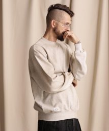 Schott(ショット)/WEB LIMITED/BLANK FADE SWEAT/ブランクフェード スウェット/オートミール6