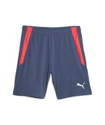 PUMA(プーマ)/メンズ サッカー TEAMLIGA トレーニング ショーツ/INKYBLUE-FIREORCHID