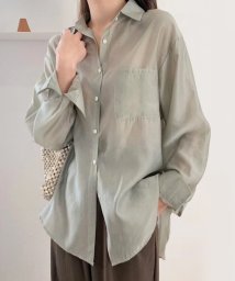 Dewlily(デューリリー)/シアーシャツブラウス 韓国ファッション 10代 20代 30代 トレンド 透け感 可愛い 羽織る 抜け感 どんな季節も着回せる 一枚だけで存在感/グリーン