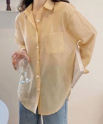 Dewlily/シアーシャツブラウス 韓国ファッション 10代 20代 30代 トレンド 透け感 可愛い 羽織る 抜け感 どんな季節も着回せる 一枚だけで存在感/505462951