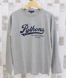 TopIsm(トップイズム)/ロンT メンズ Tシャツ 長袖 ロングTシャツ ロゴ フォト プリント 綿 コットン クルーネック アメカジ 長袖Tシャツ 大きいサイズ  春 夏 秋冬/グレー系2