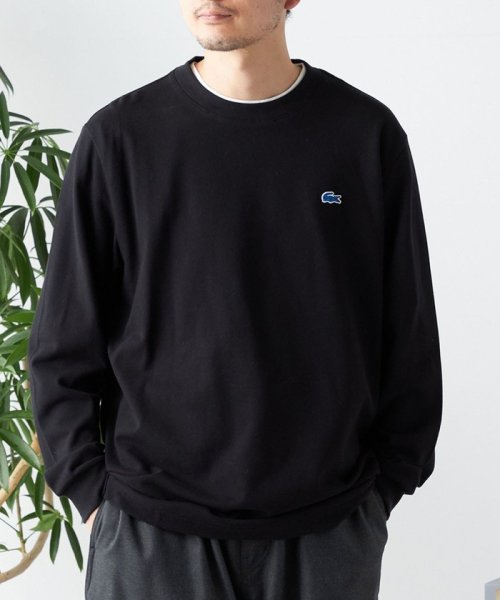 SHIPS any MEN(シップス　エニィ　メン)/【SHIPS any別注】LACOSTE: ワンポイント ピケ クルーネック Tシャツ (ロンT)◇/ブラック