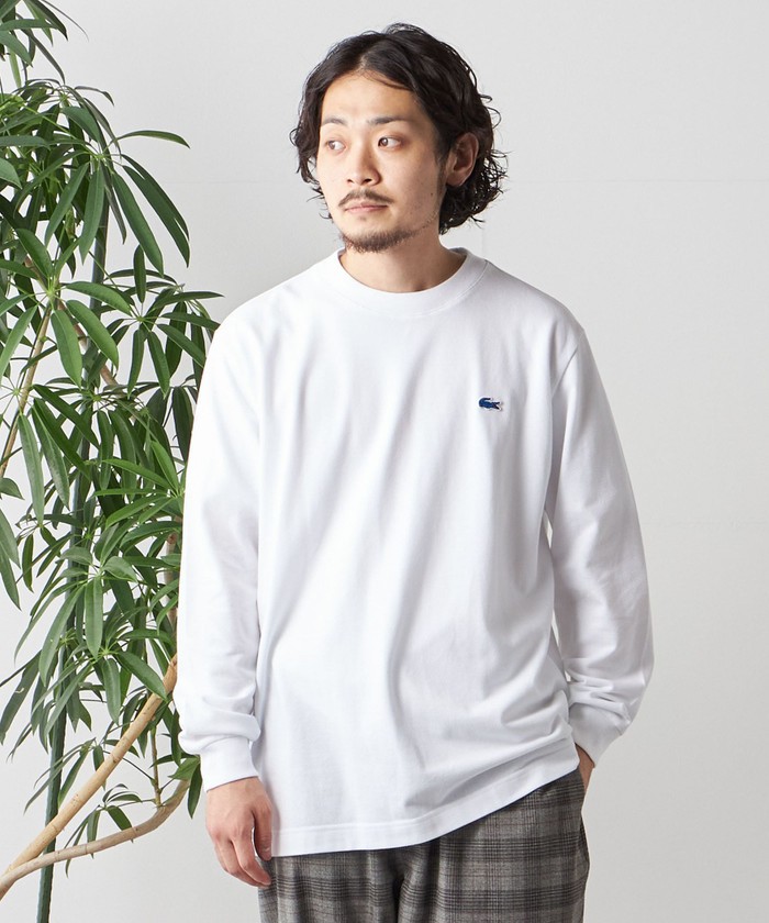 セール】【SHIPS any別注】LACOSTE: ワンポイント ピケ クルーネック T