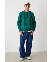 RODEO CROWNS WIDE BOWL(ロデオクラウンズワイドボウル)/A－LIGHT KNIT ケーブルトップス/GRN