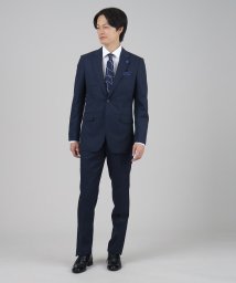TAKEO KIKUCHI(タケオキクチ)/【Made in　JAPAN】マイクロデザイン スーツ/ネイビー（093）