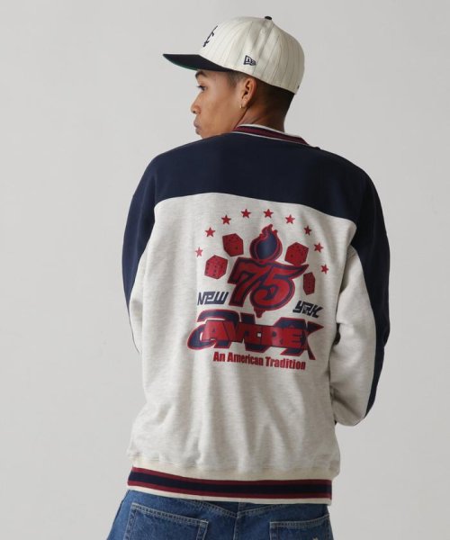 AVIREX(AVIREX)/《WEB&DEPOT限定》TWOTONE SNAP SWEAT / ツートン スナップ スウェット/オートミール6