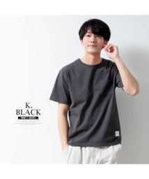  GENELESS(GENELESS)/tシャツ メンズ 半袖 綿100 半袖tシャツ 夏 バックプリント Tシャツ Uネック インナー トップス クルーネック コットン 白 黒 全10色 シンプル/ブラック