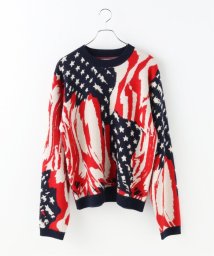 JOURNAL STANDARD/【MASU / エムエーエスユー】 MARBLE FLAG SWEATER/505480944