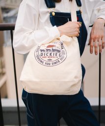 Dickies(Dickies)/Dickies SSNGPX TC CANVAS 2WAY SHOULDER BAG/ﾎﾜｲﾄ