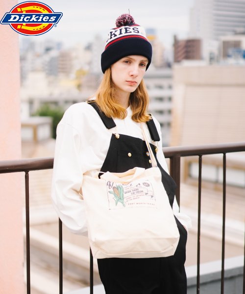 Dickies(Dickies)/Dickies SSNGPX TC CANVAS 2WAY SHOULDER BAG/ｱｲﾎﾞﾘｰ