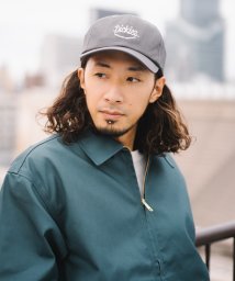 Dickies(Dickies)/Dickies EMB LOWCAP/ﾁｬｺｰﾙ