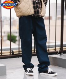 Dickies(Dickies)/Dickies 1868MODEL PLEATED FRONT PANT/ﾈｲﾋﾞｰ